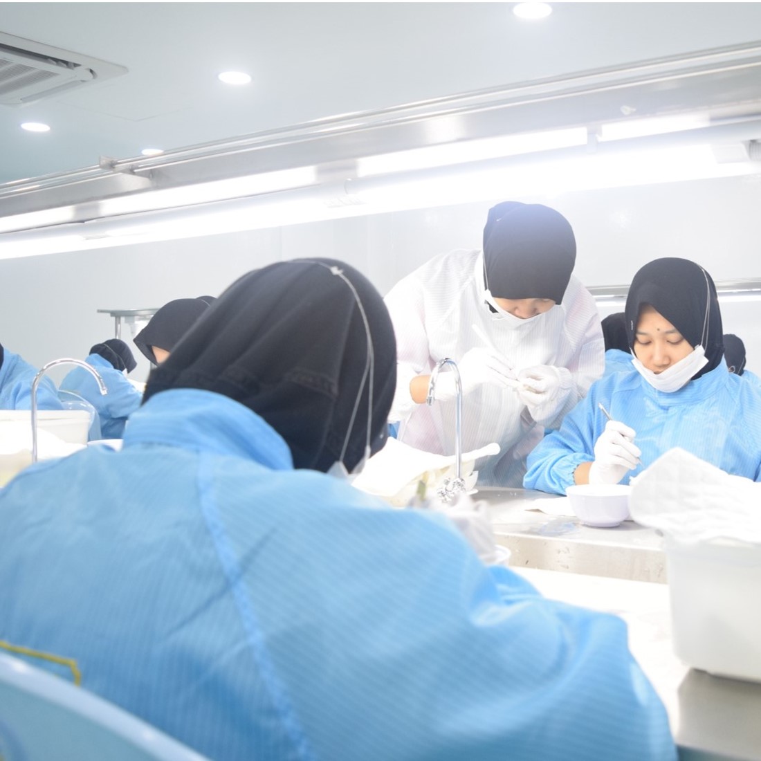 Bird Nest Factory 燕窝加工厂