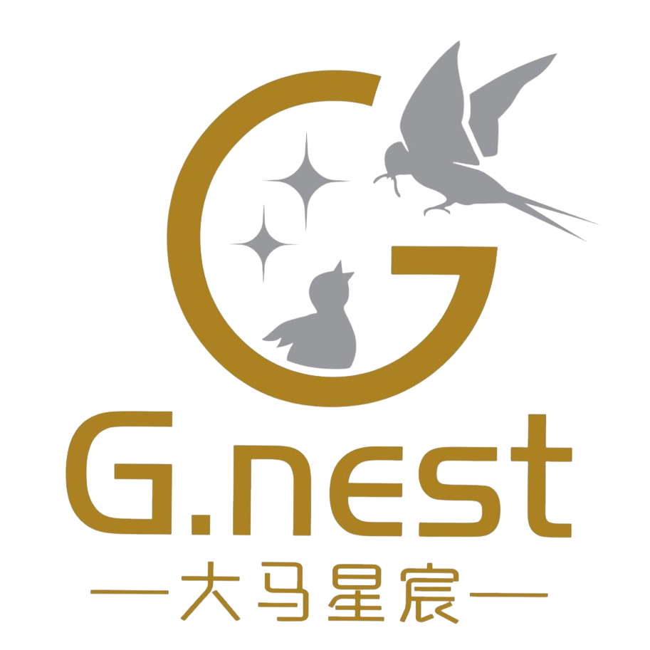 G Nest 大马星宸 Logo
